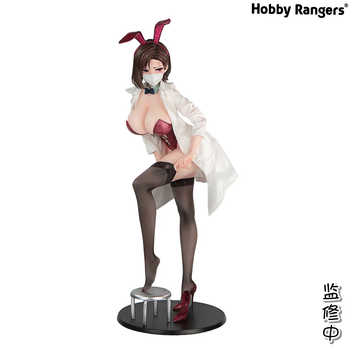 Shikkaku Public Health Doctor Yumiko Yasaka Illustrated by Kesoshirou 1/4