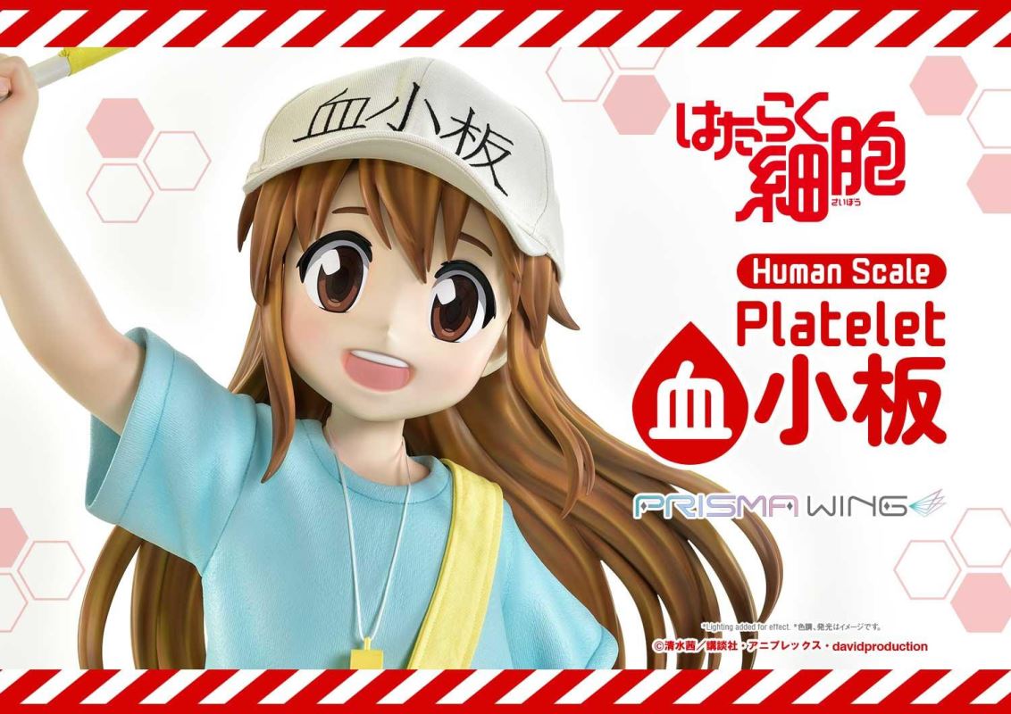 Cells at Work! Platelets 1/1