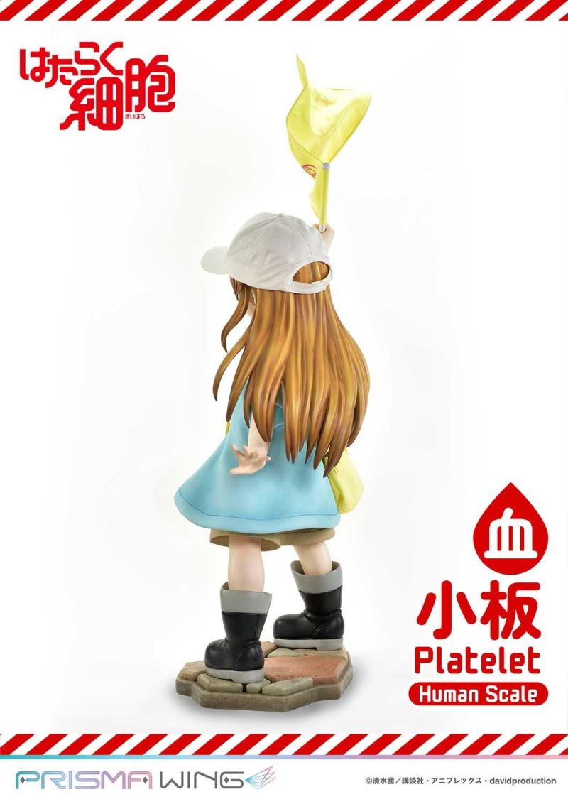 Cells at Work! Platelets 1/1