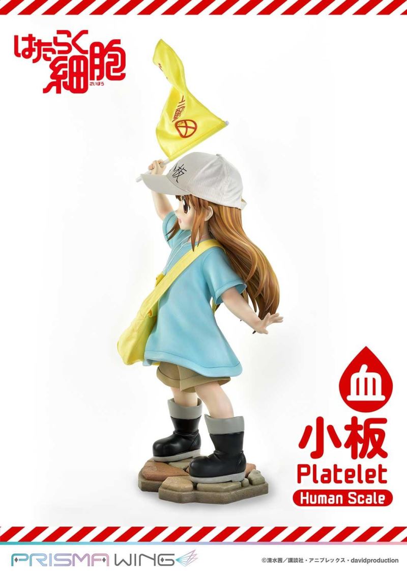 Cells at Work! Platelets 1/1