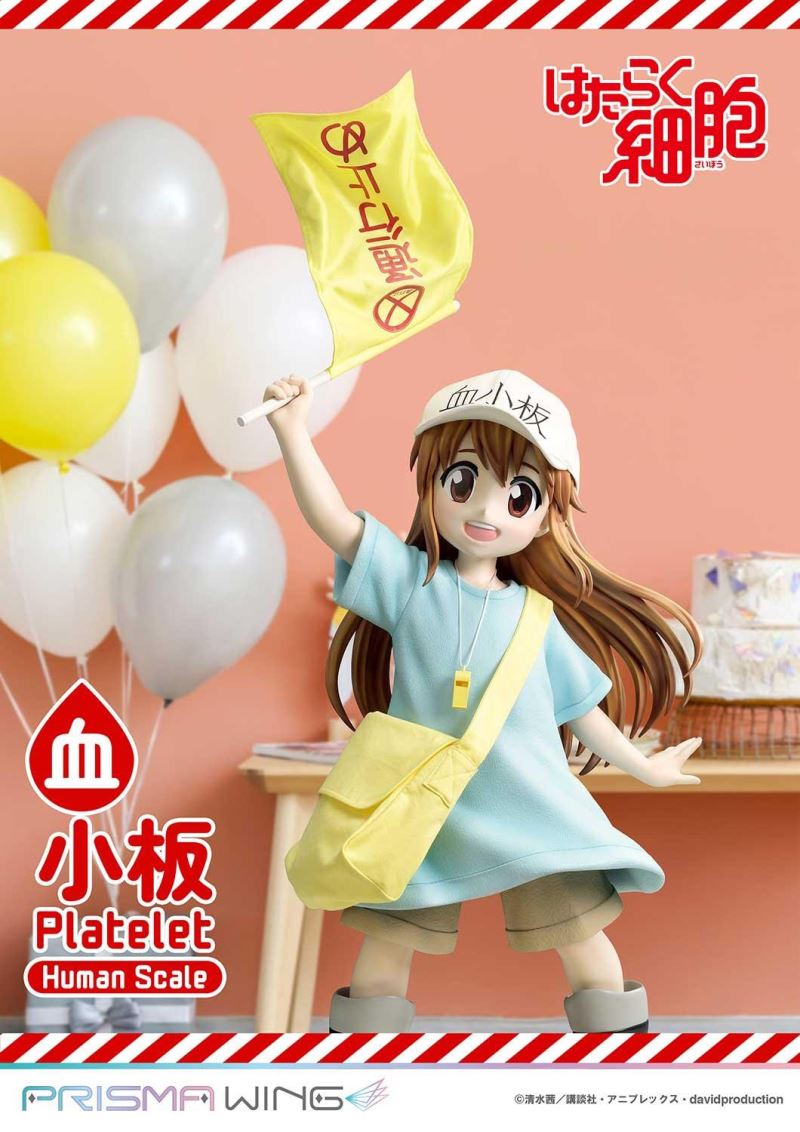 Cells at Work! Platelets 1/1