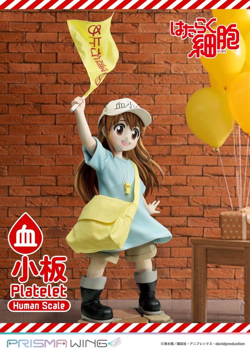 Cells at Work! Platelets 1/1