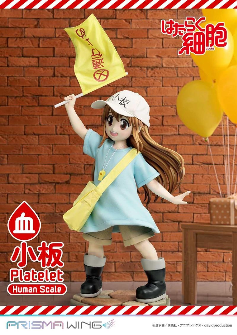 Cells at Work! Platelets 1/1