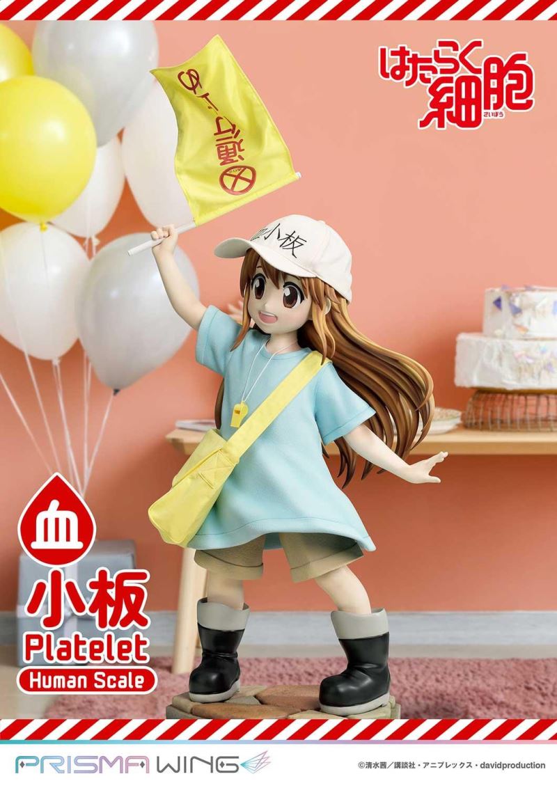 Cells at Work! Platelets 1/1