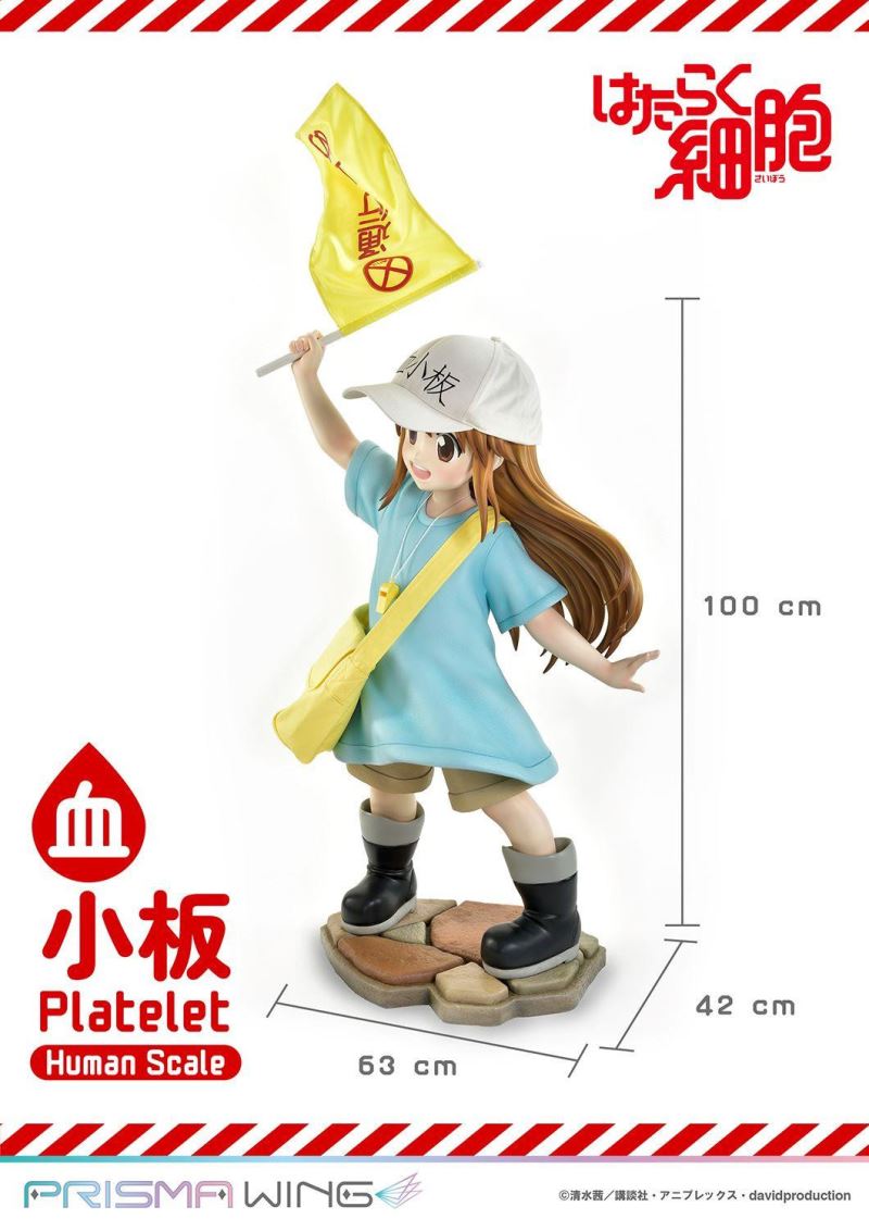 Cells at Work! Platelets 1/1