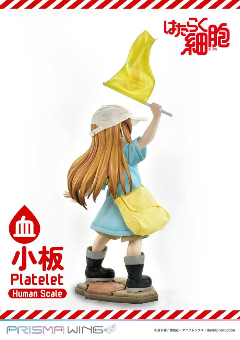 Cells at Work! Platelets 1/1