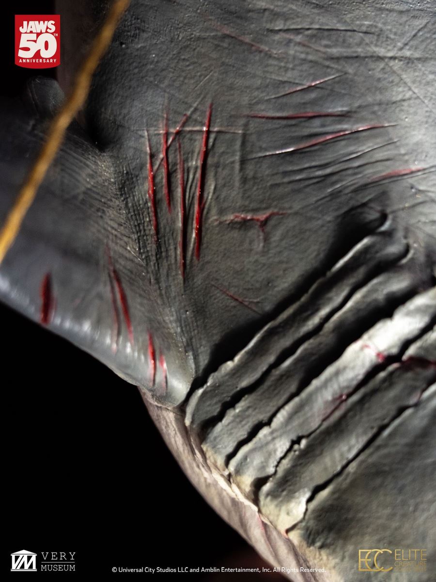 Jaw Maquette 1/12