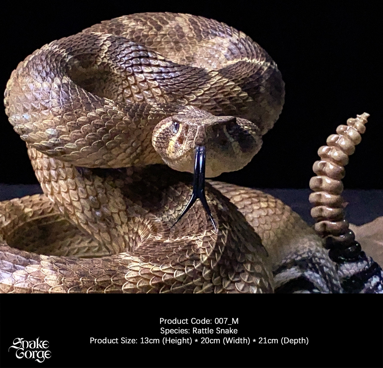 Crotalus atrox