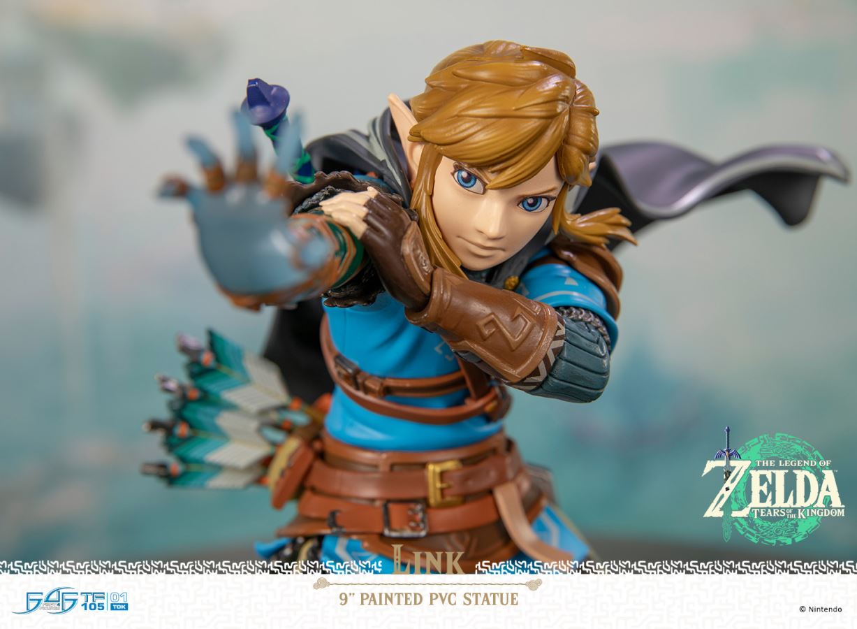 Link - Zelda: Tears of the Kingdom