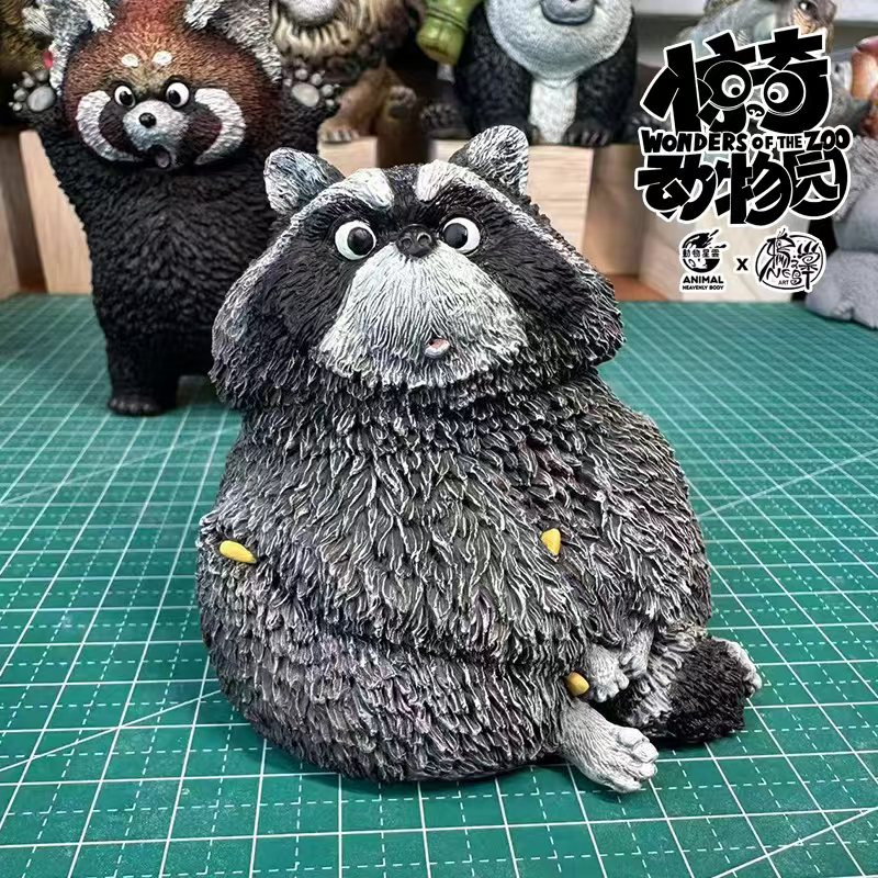 Raccoon Amazing Zoo
