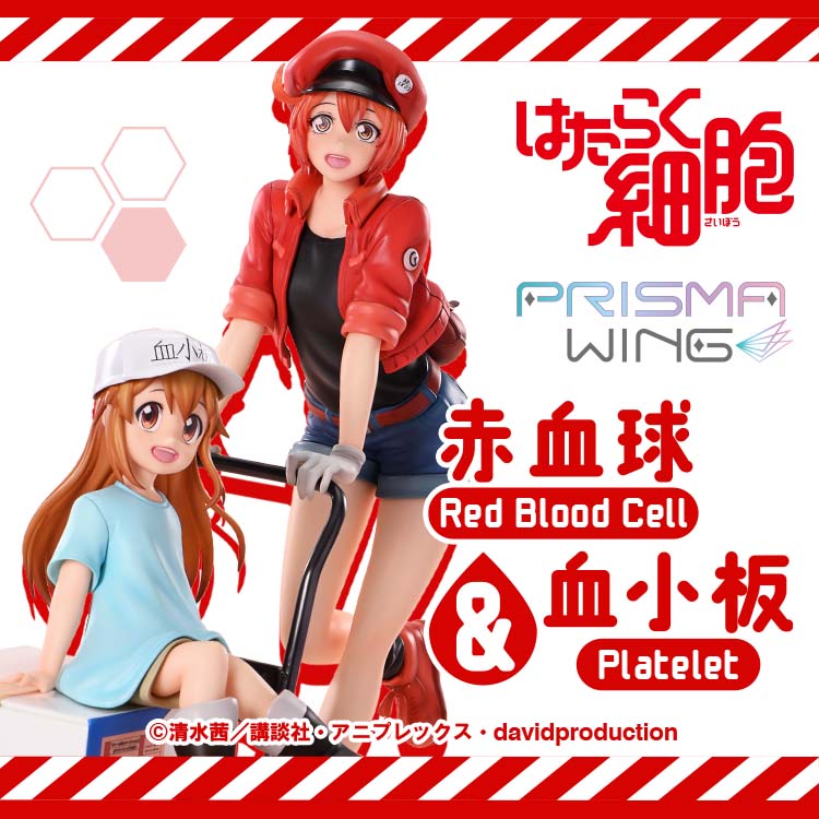 Cells at Work Red Blood Cell & Platelet