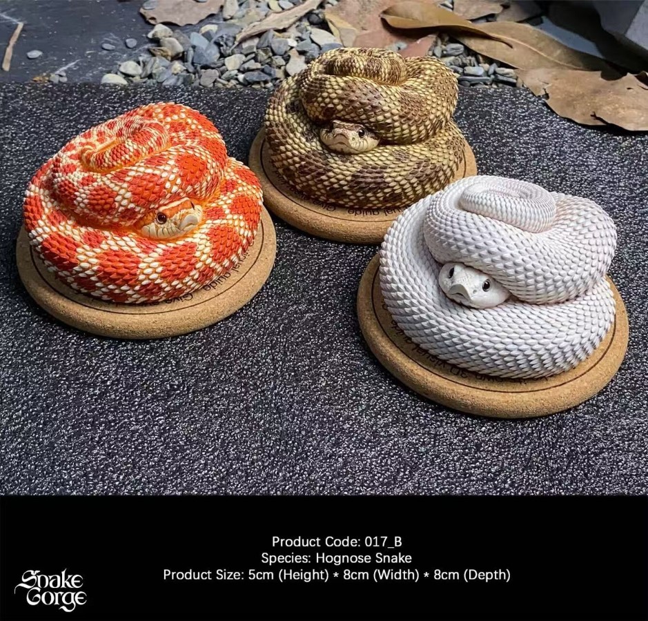 Hognose Snake 