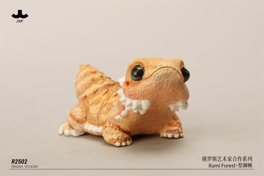 Pogona vitticeps (Roshia Ilumi Forest)