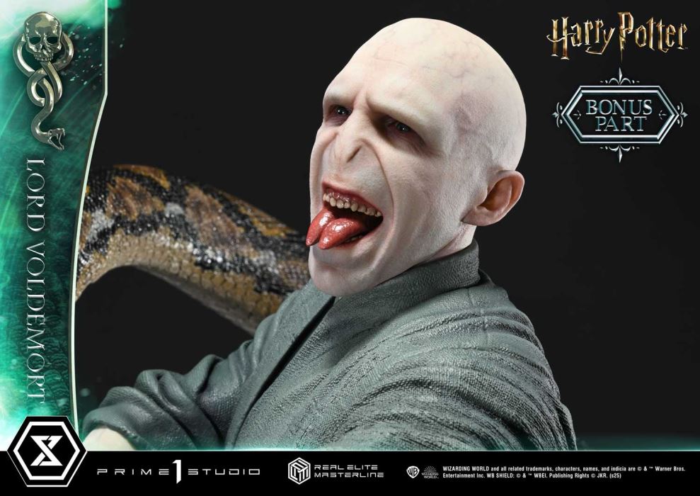 Lord Voldemort - Harry Potter