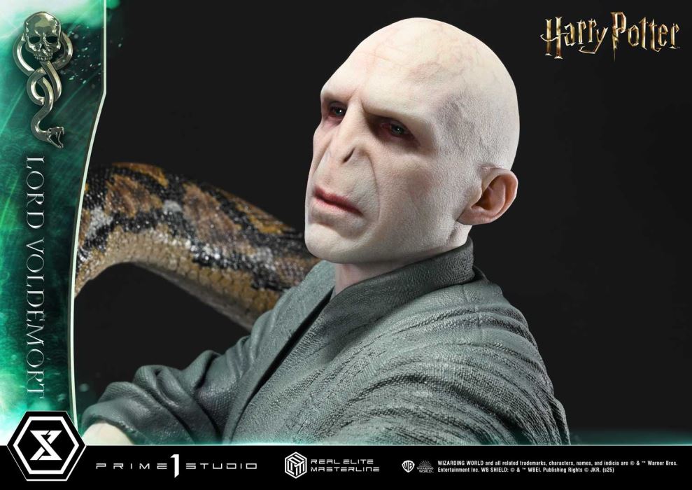 Lord Voldemort - Harry Potter
