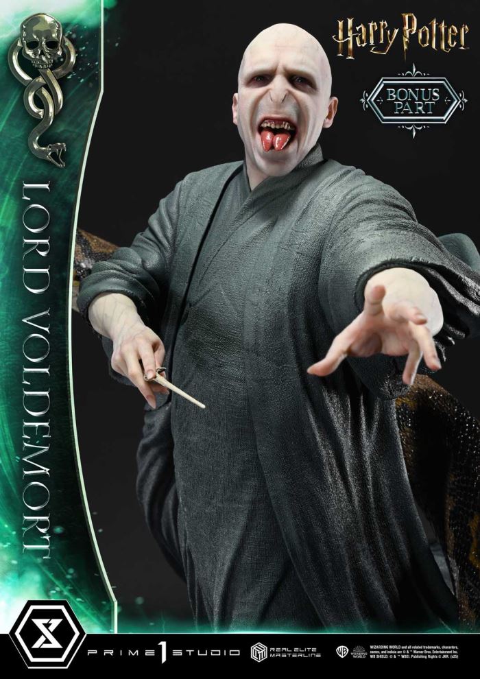 Lord Voldemort - Harry Potter