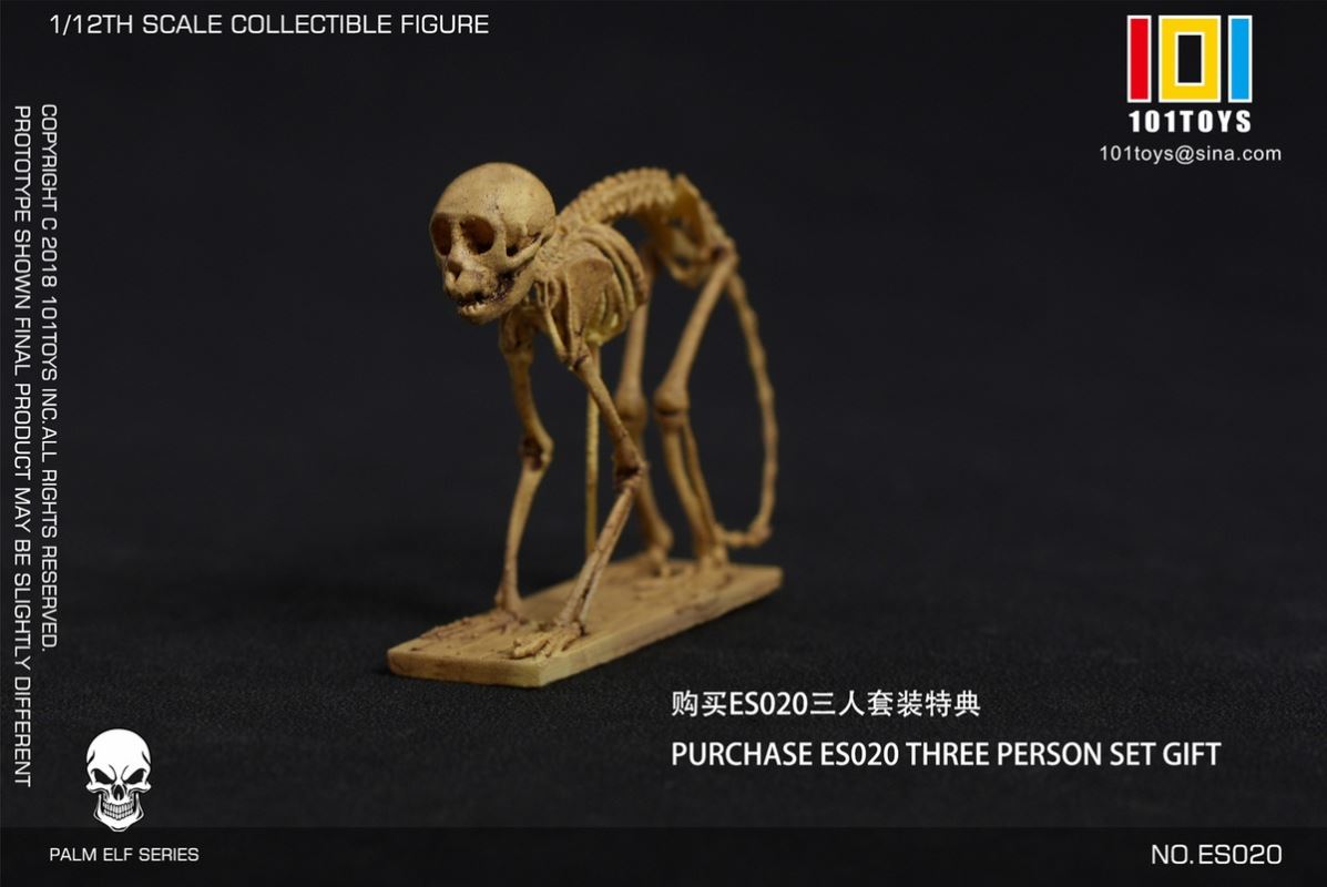 Skull Pirate Captain Jack Sparrow/Captain Hook/Sailor