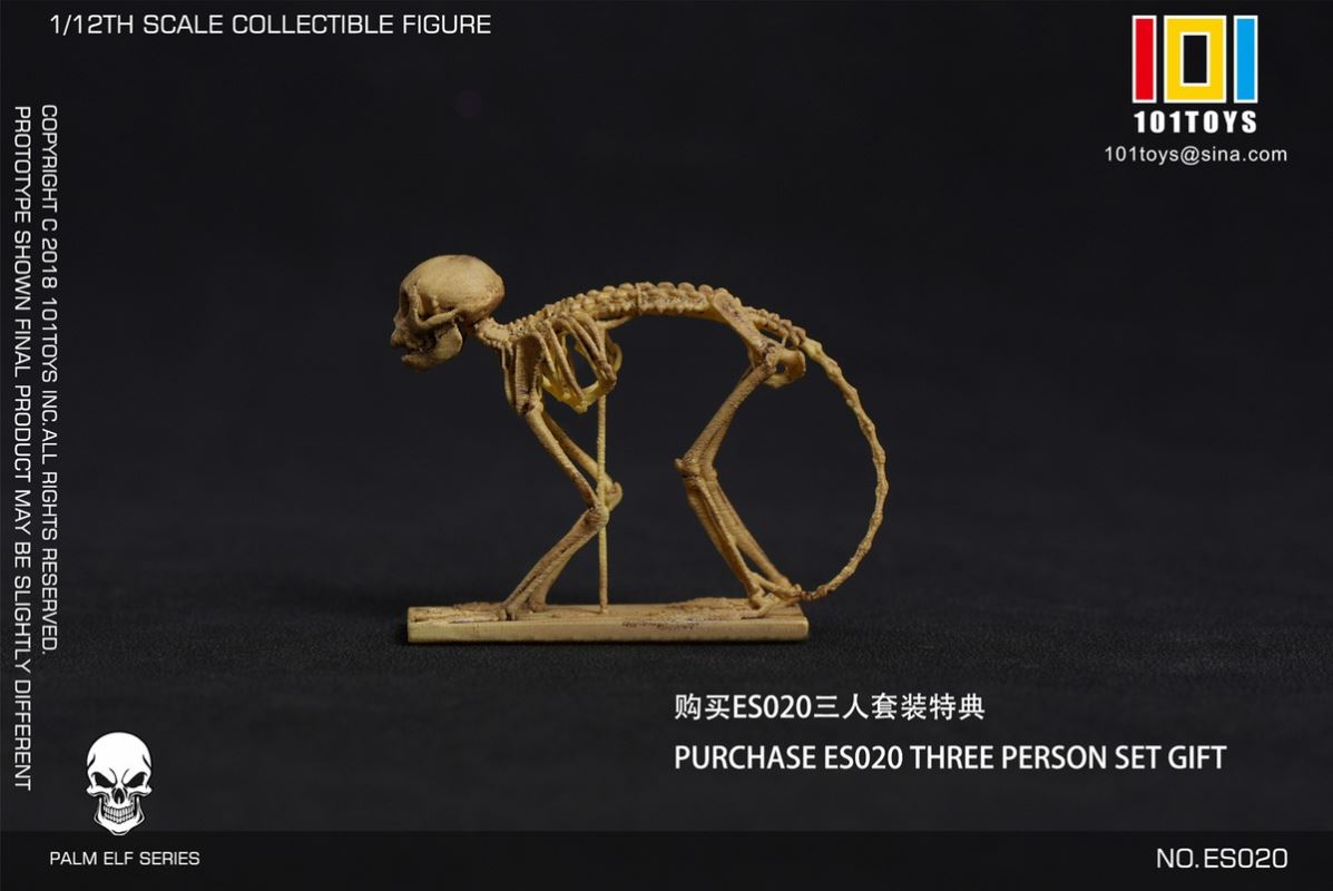 Skull Pirate Captain Jack Sparrow/Captain Hook/Sailor