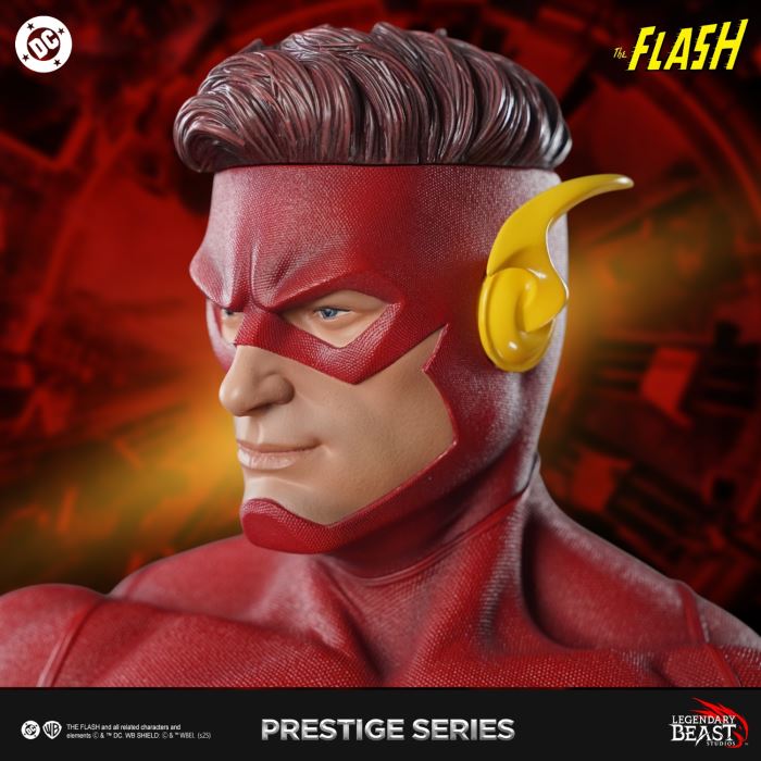 The Flash - Barry Allen & Wally West 1/3