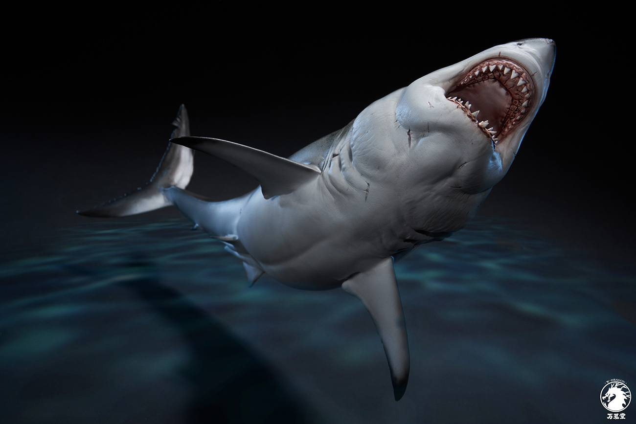 Great White Shark 1/18