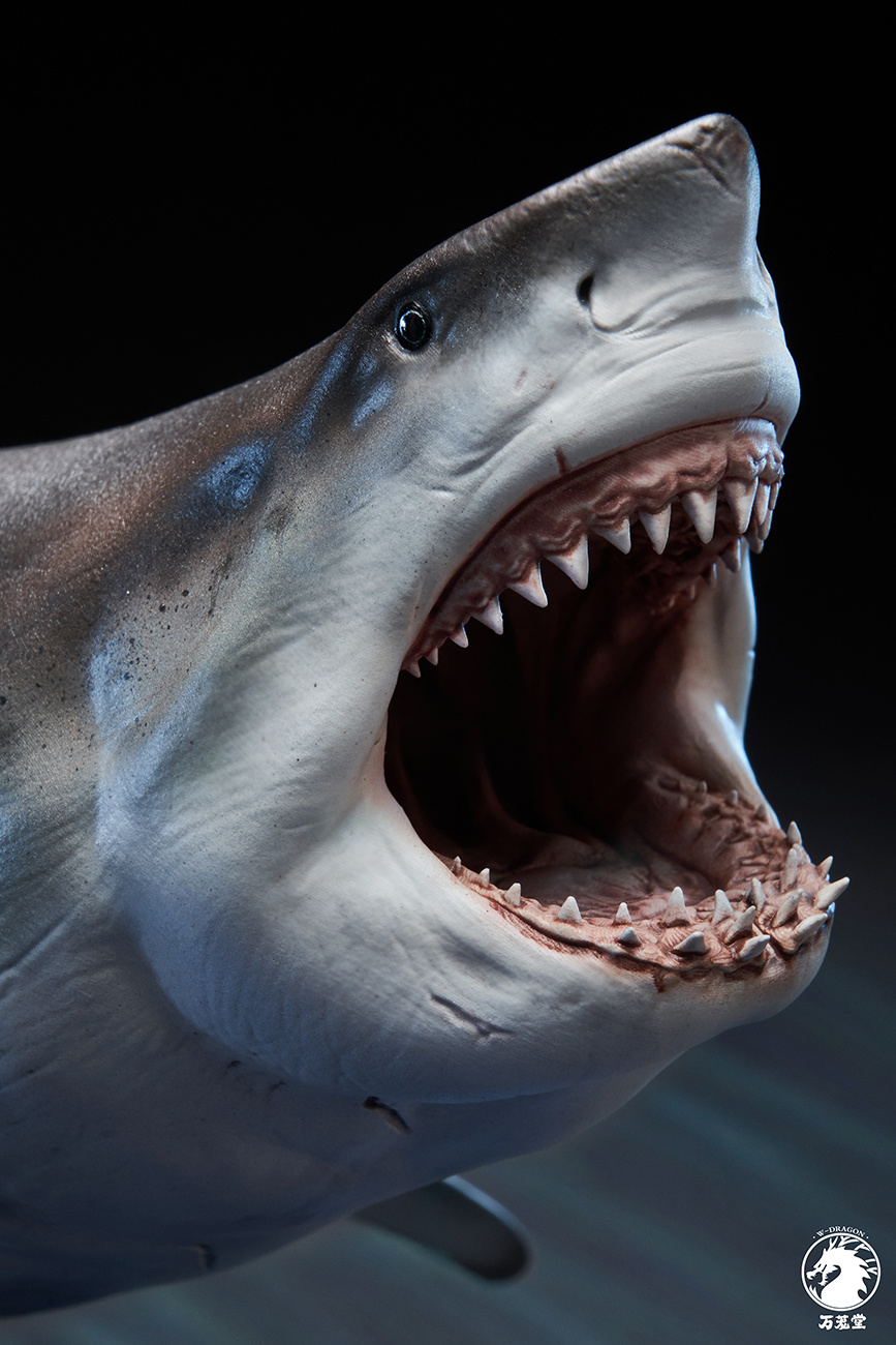 Great White Shark 1/18