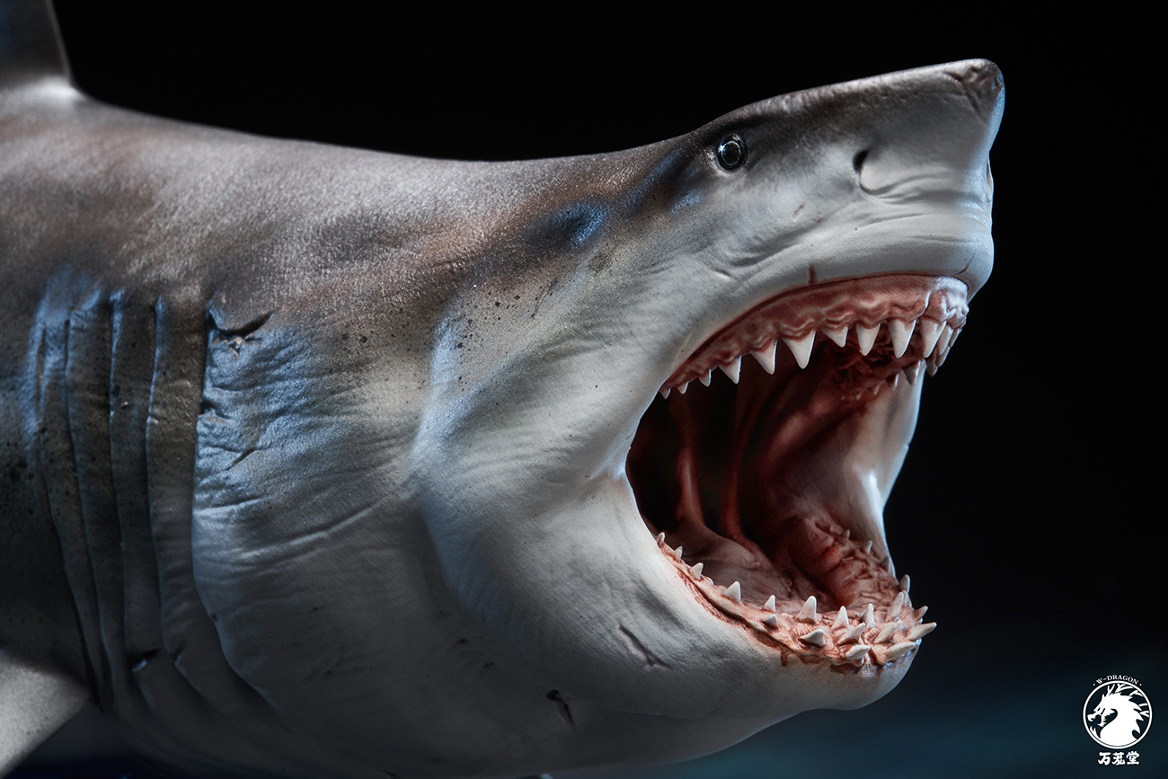 Great White Shark 1/18
