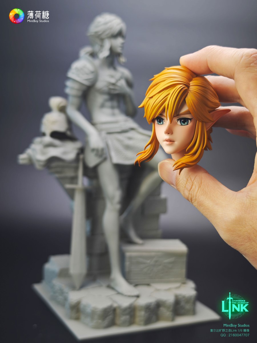 Link - Zelda