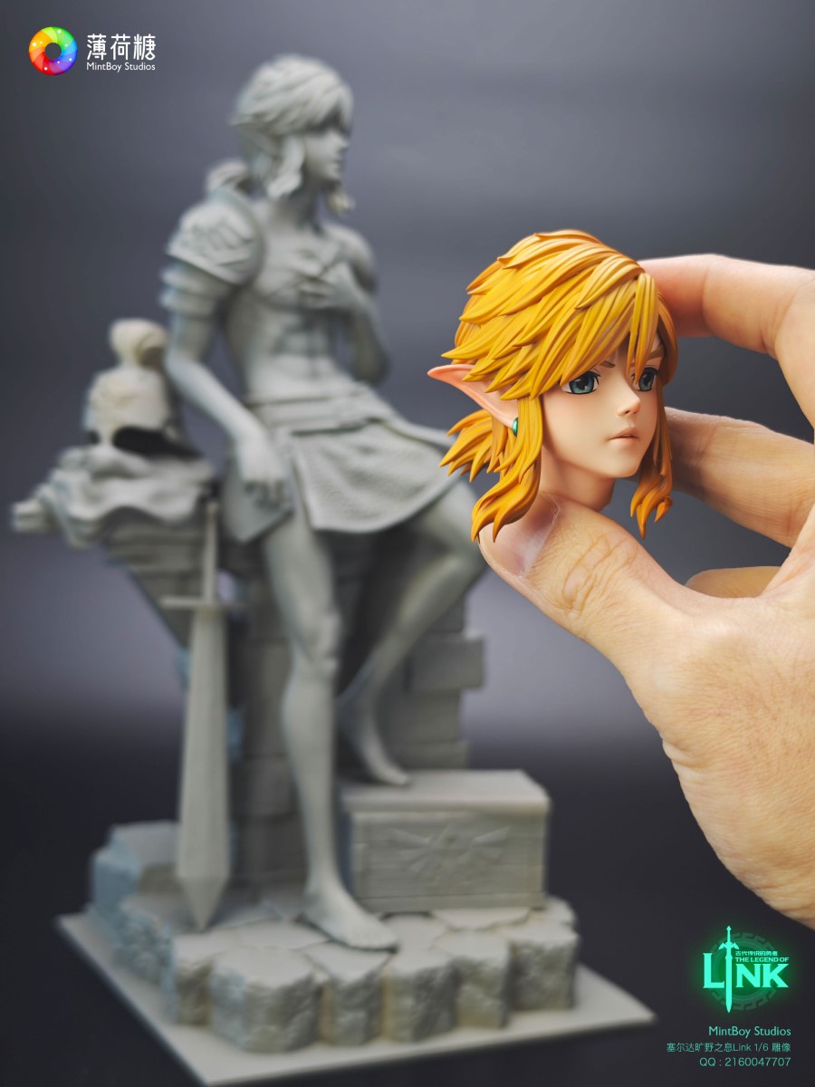 Link - Zelda