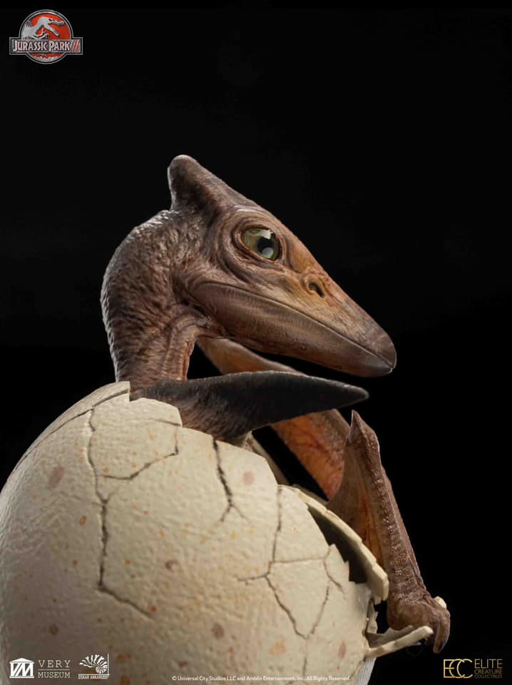 Hatchling Pterosaur - Jurassic Park