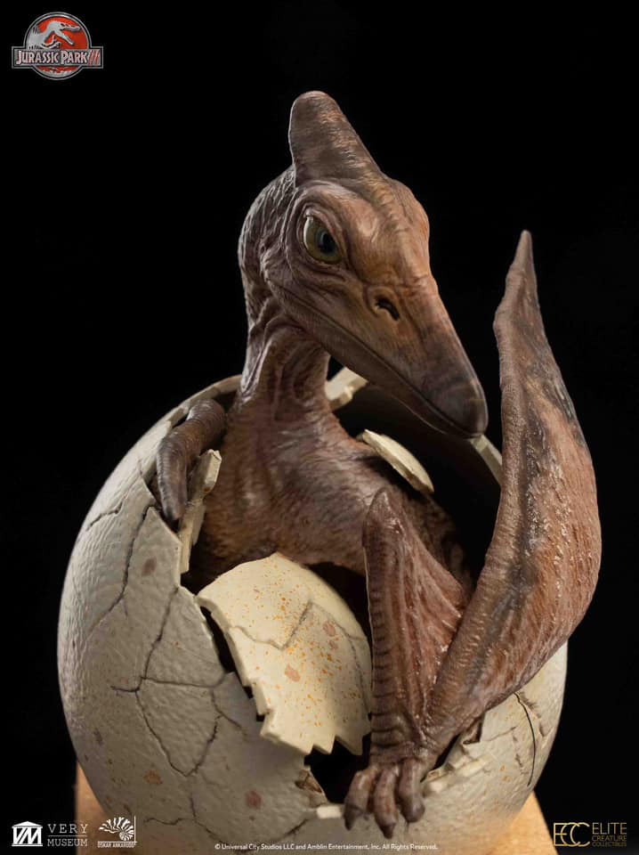 Hatchling Pterosaur - Jurassic Park