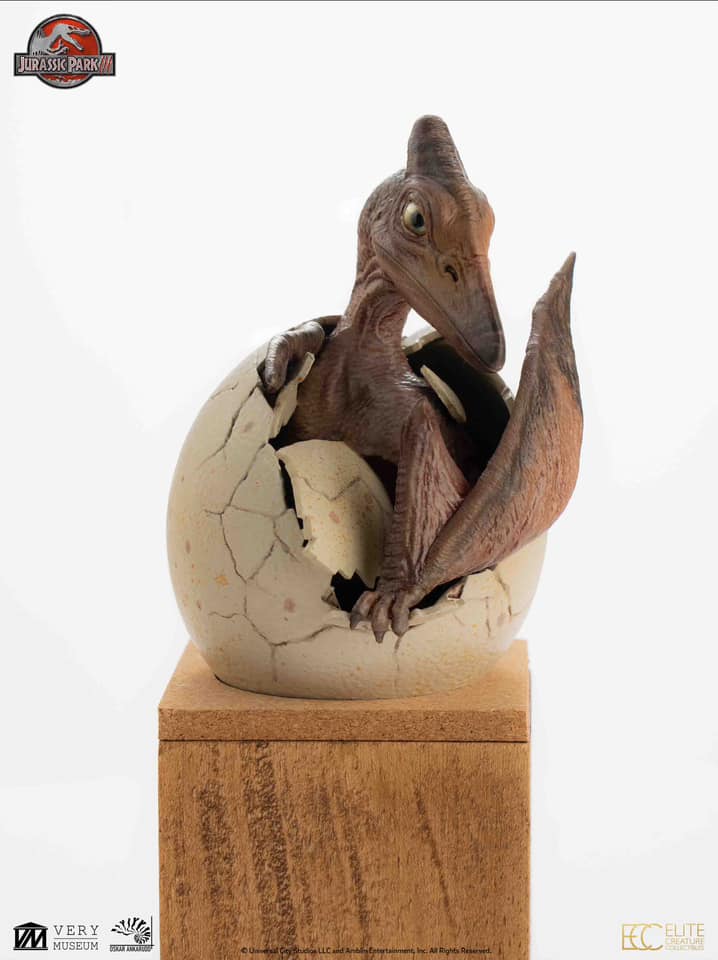 Hatchling Pterosaur - Jurassic Park