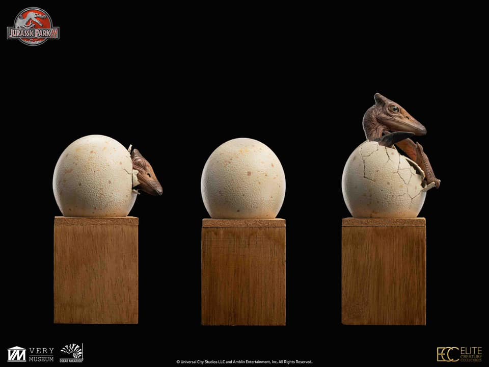 Hatchling Pterosaur - Jurassic Park