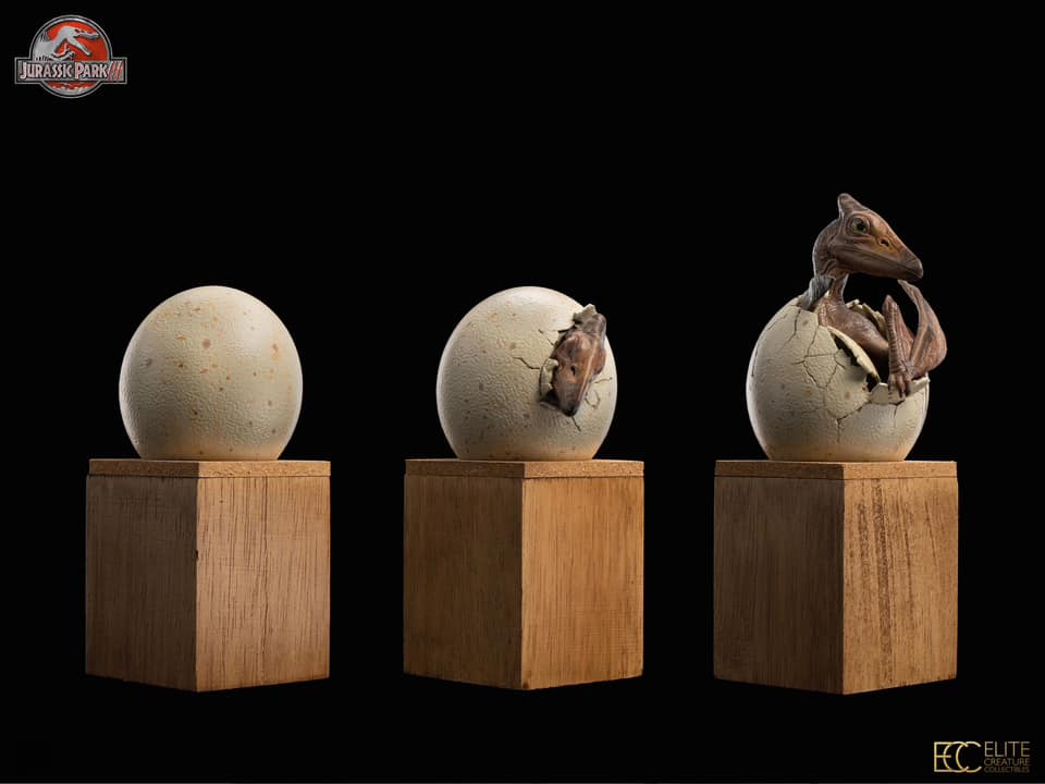 Hatchling Pterosaur - Jurassic Park