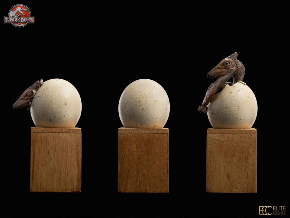 Hatchling Pterosaur - Jurassic Park