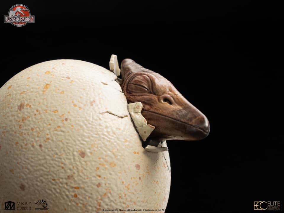 Hatchling Pterosaur - Jurassic Park