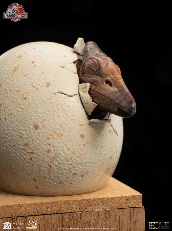 Hatchling Pterosaur - Jurassic Park