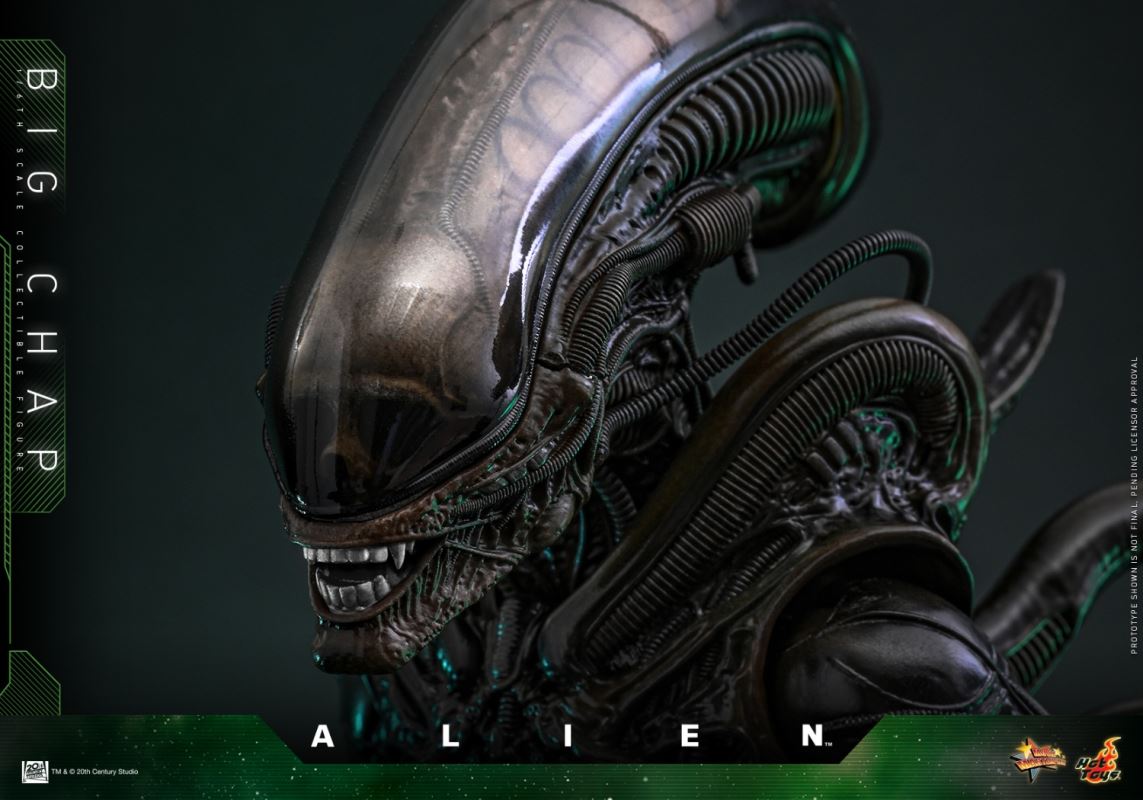 Alien Big Chap 1/6