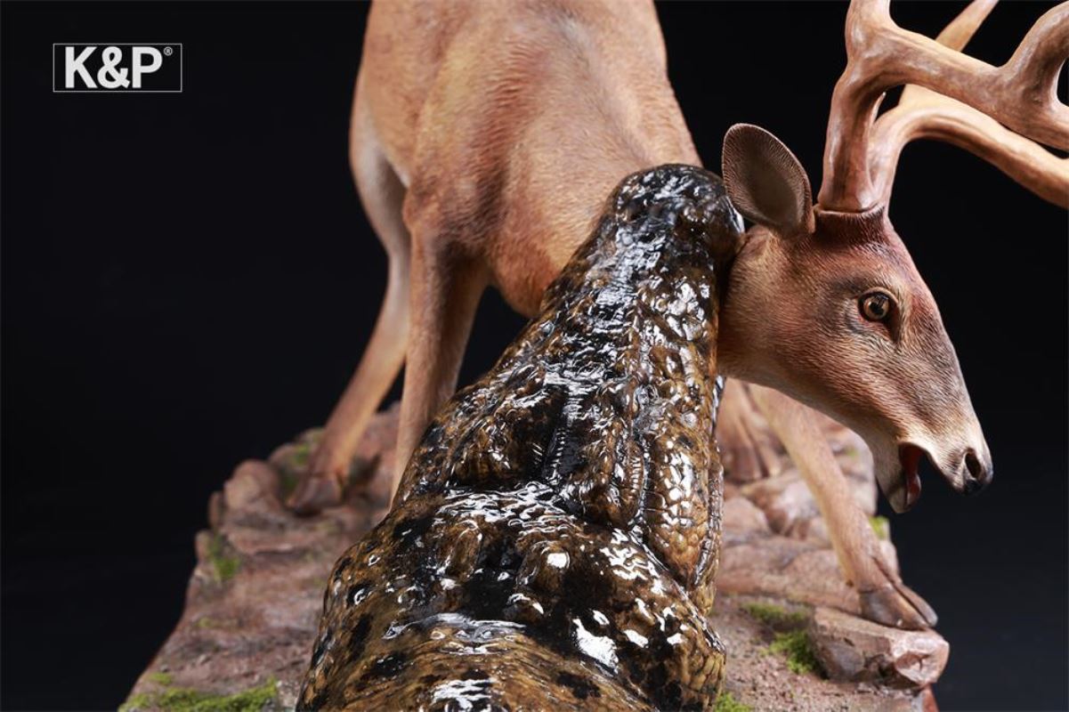 Deer & Crocodile Animal Trendy - the line between life and death