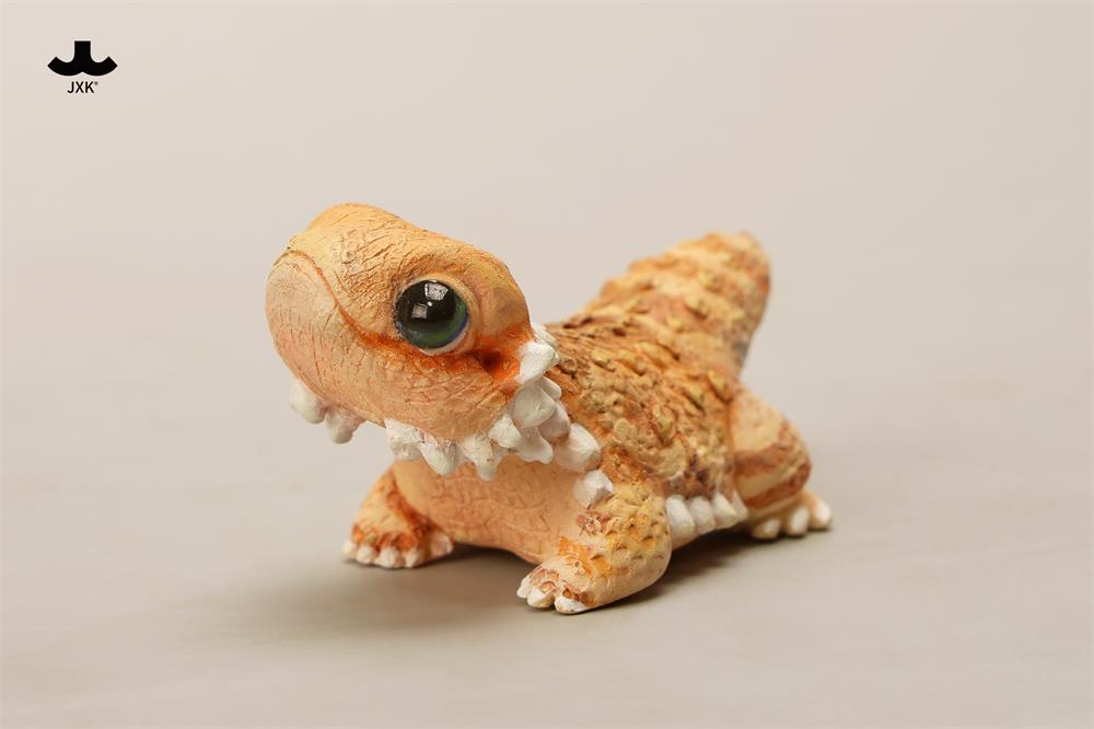 Pogona vitticeps (Roshia Ilumi Forest)