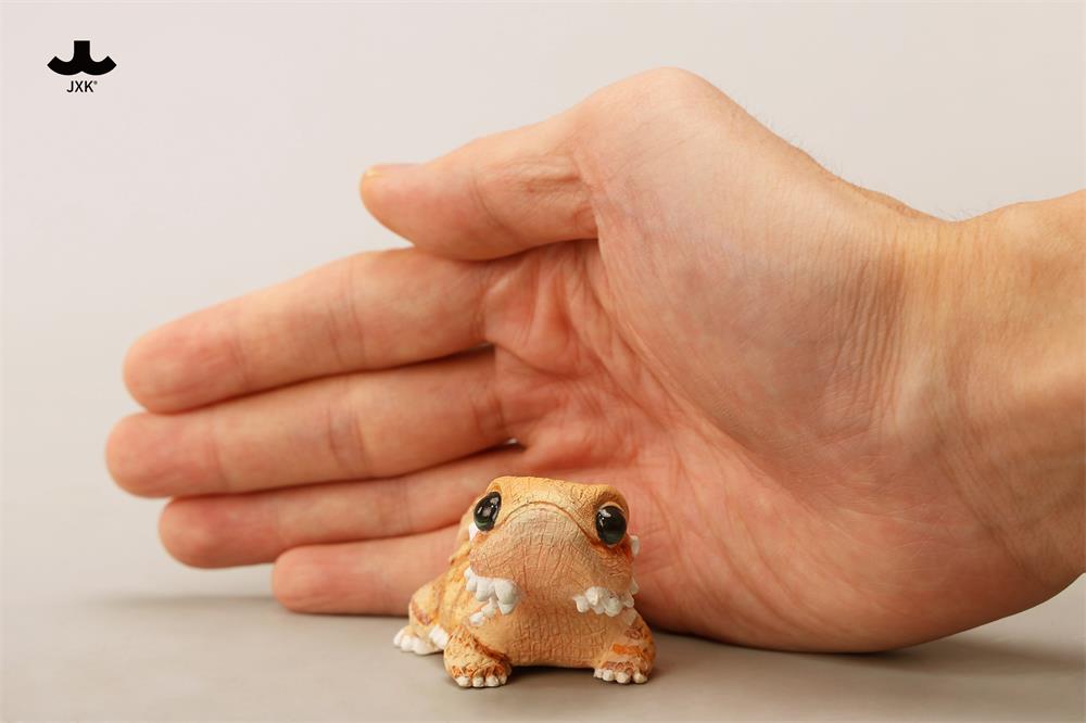 Pogona vitticeps (Roshia Ilumi Forest)