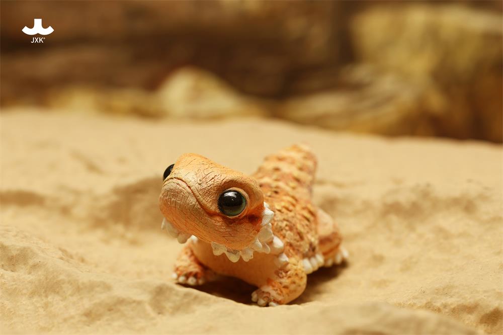 Pogona vitticeps (Roshia Ilumi Forest)