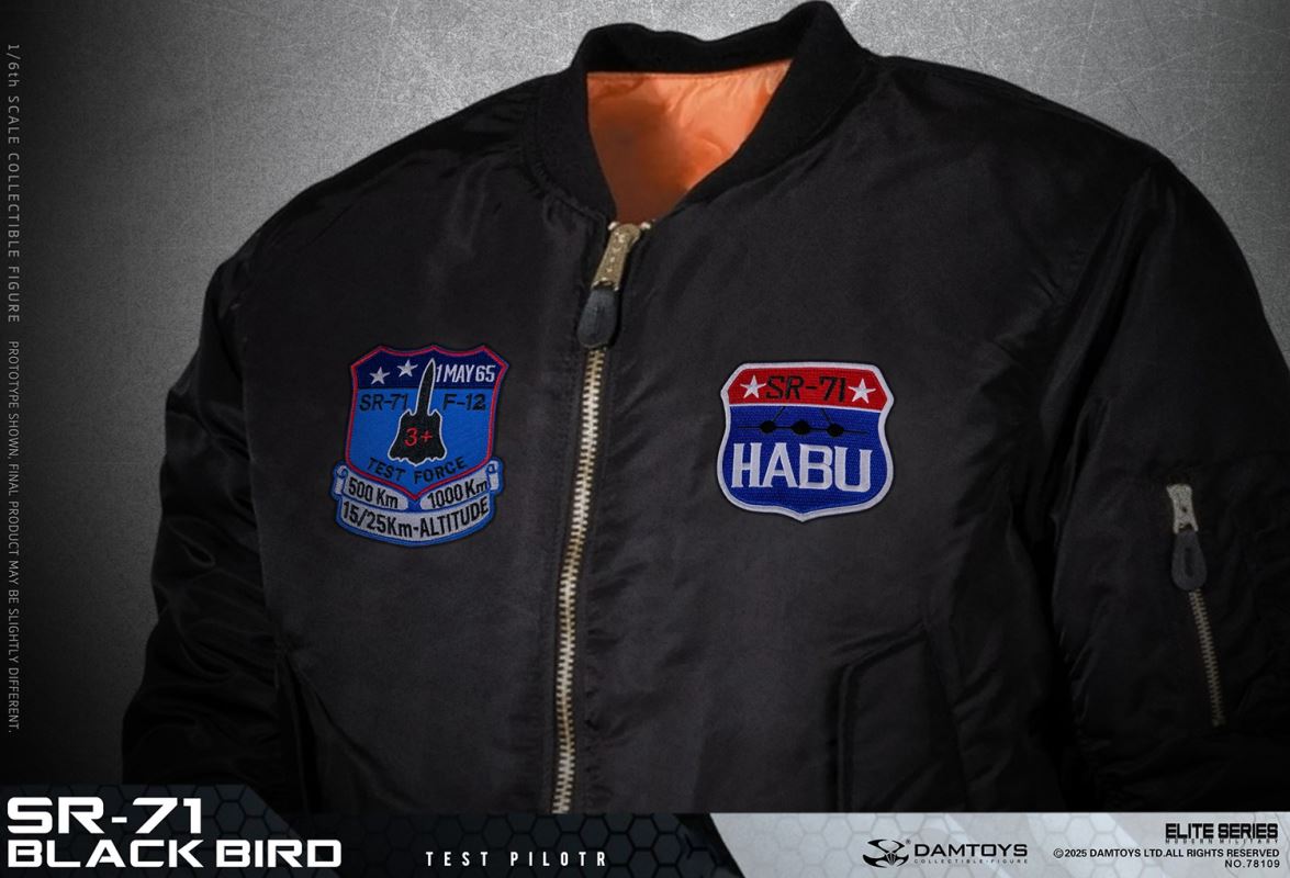 Blackbird Test Pilot NO.78109 [SR-71] 1/6