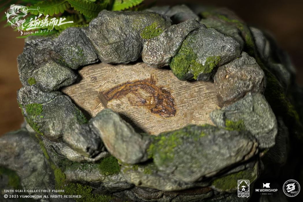 Tom & Kawashima - Against the Current