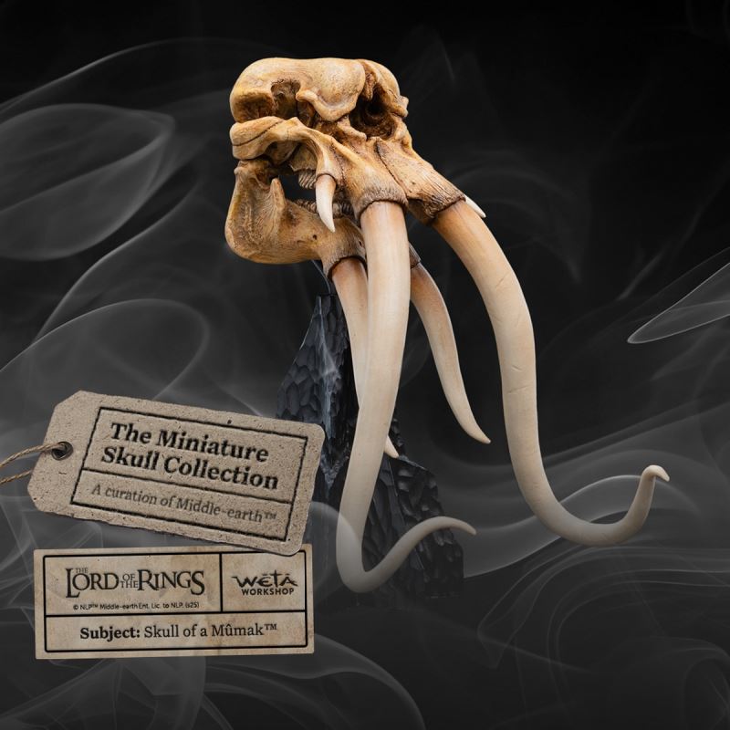 Skull of a Mumak - The Lord of the Rings