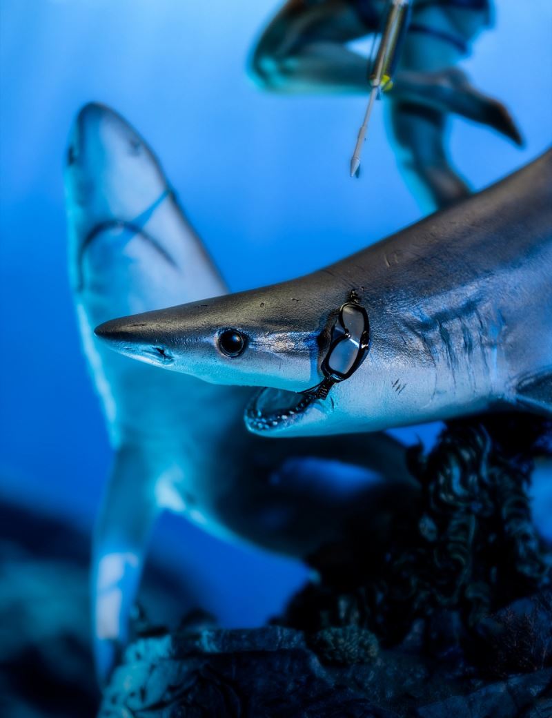 Tomb Raider Under World