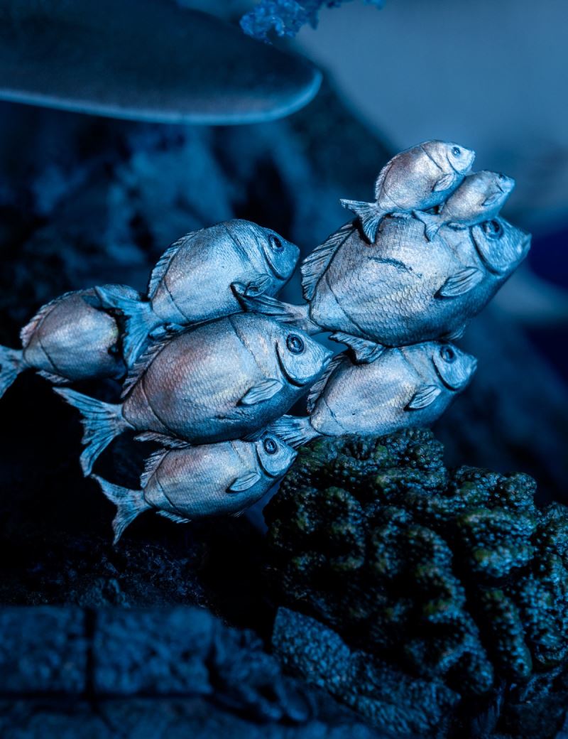 Tomb Raider Under World