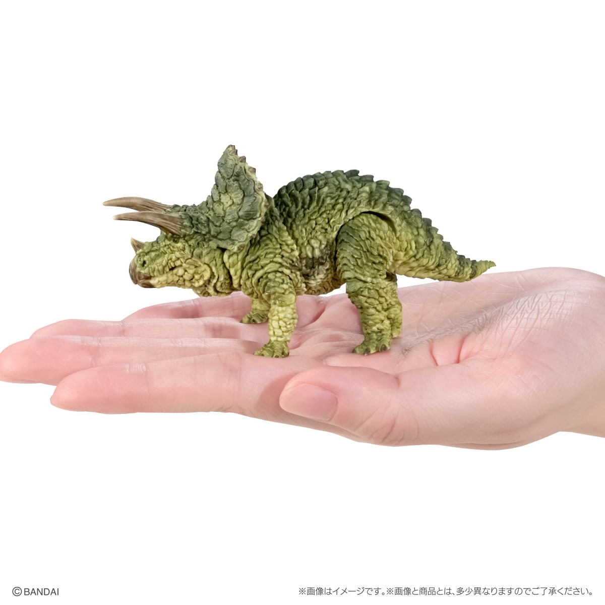 The Great Encyclopedia of Living Things: Reptilians