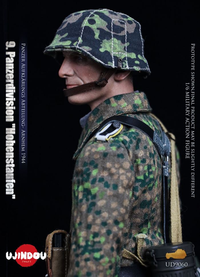 Panzerdivision Hohenstaufen, Panzer Reconnaissance Battalion, Arnhem 1944, WWII 1/6