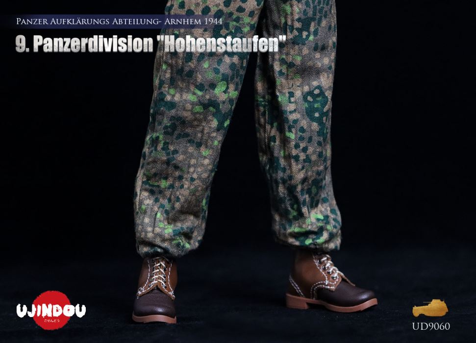 Panzerdivision Hohenstaufen, Panzer Reconnaissance Battalion, Arnhem 1944, WWII 1/6