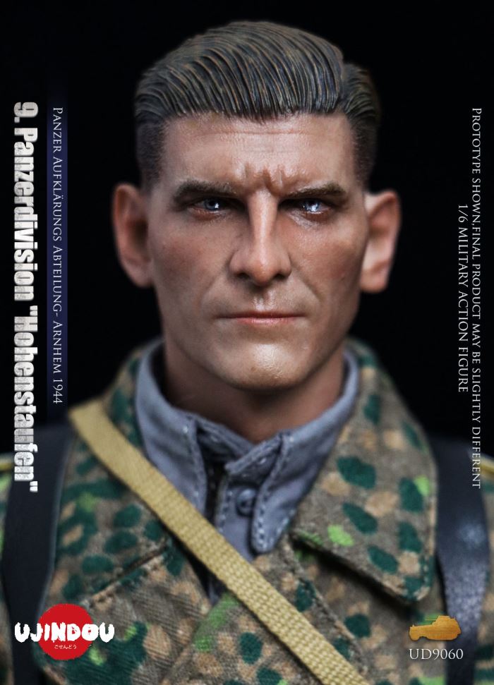 Panzerdivision Hohenstaufen, Panzer Reconnaissance Battalion, Arnhem 1944, WWII 1/6